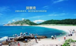 鑫创2018夏令营－美丽的巽寮湾